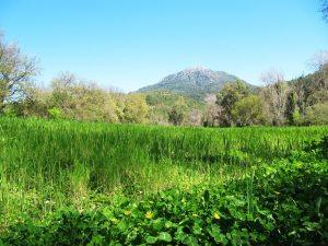 Sendero El Bosque