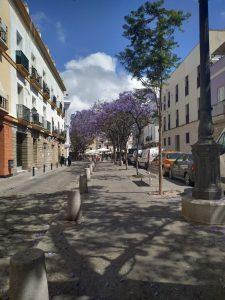 Plaza del Mentidero, Cádiz