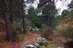 Sendero Llanos del Endrinal Sierras de la provincia de Cádiz