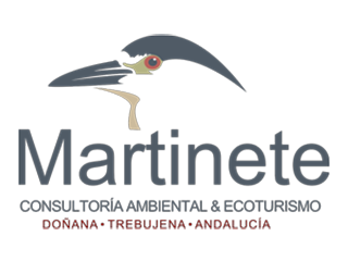 El Martinete 